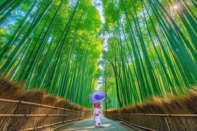 3 Day Private Osaka Kyoto and Nara Tour - The Experience of a Private, Tailored Tour