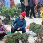 3-Day Tour in Jinping to visit the countryside fair near Guilin - Why Choose This Tour?