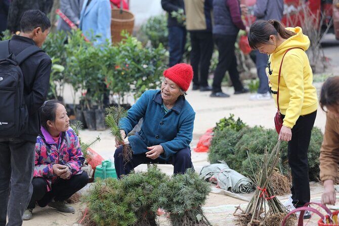 3-Day Tour in Jinping to visit the countryside fair near Guilin - Why Choose This Tour?