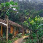 3-Day Trekking Adventure of Sapa from Hanoi - Stay Ta Van Village - Day 2: Trekking Through Forests and Villages