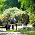 3-Day Trekking In Pu Luong Nature Reserve Private Tour - What’s Included and What’s Not