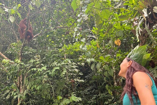 3 Days Orangutan Sumatra Jungle Trekking with Rafting - Final Thoughts