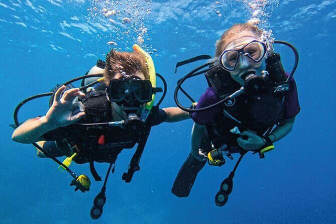 3 Days PADI Open Water Course in Pemuteran - Final Thoughts: Is It Worth It?