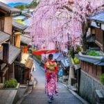 3 Days Private Osaka Kyoto and Nara Tour with English Driver - Practical Tips