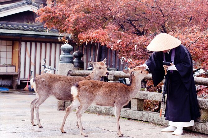 3 Days Private Osaka Kyoto and Nara Tour With English Driver - FAQ