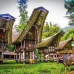 3 Days Tana Toraja from Makassar: Kete Kesu Village, Menhir to Funeral Burial - Possible Drawbacks and Considerations