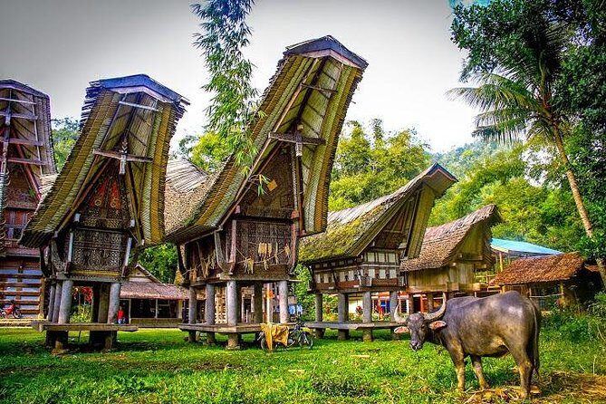 3 Days Tana Toraja from Makassar: Kete Kesu Village, Menhir to Funeral Burial - Possible Drawbacks and Considerations