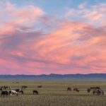 3 Days Three different natural zone and Ancient capital city - A Detailed Look at the 3-Day Itinerary