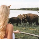 3 Days Tour to Sigiriya & Kandy with Kingfisher Tours Sri Lanka - Who Is This Tour Best Suited For?