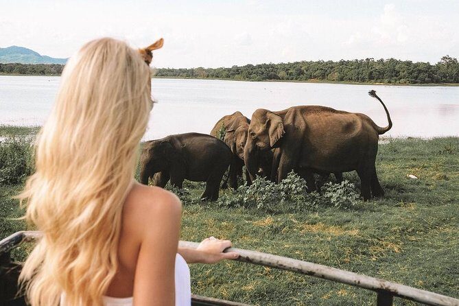 3 Days Tour to Sigiriya & Kandy with Kingfisher Tours Sri Lanka - Who Is This Tour Best Suited For?