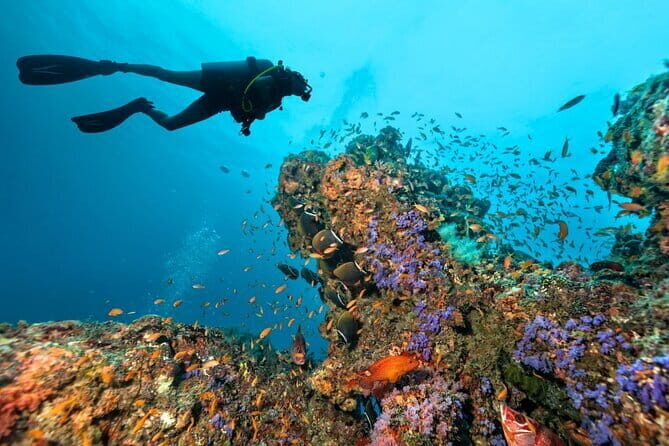 3 Fun dives in Phi Phi islands for Certified Divers - An In-Depth Look at the Tour Experience