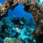 3 Fun Dives in Racha Yai and Racha Noi for Certified Divers - The Sum Up