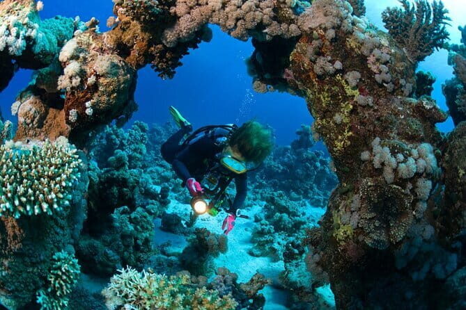 3 Fun Dives in Racha Yai and Racha Noi for Certified Divers - The Sum Up