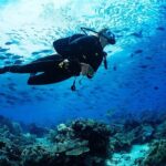 3 Hour Guided Scuba Diving in Trincomalee - Diving Into the Details: What to Expect