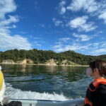 3 Hour Nanaura Tour around Miyajima with Lunch Box - An In-Depth Look at the Miyajima Sea Tour Experience