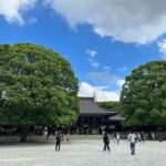 3 Hour Private Tokyo Meiji Jingu Shrine Wellness Tour - Detailed Review of the Experience