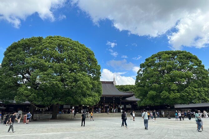 3 Hour Private Tokyo Meiji Jingu Shrine Wellness Tour - Detailed Review of the Experience