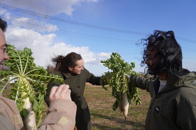 3 Hours Vegetables Harvest Activity Nearby Tokyo - Why Is This Experience Valuable?