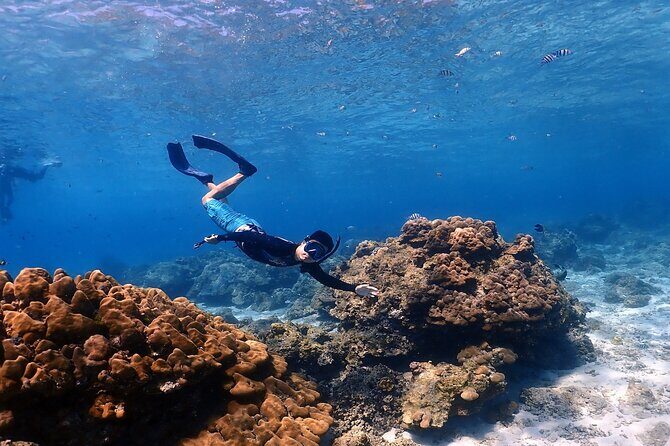 3-Island Speedboat Tour: Racha Noi, Racha Yai & Maiton - Final Thoughts