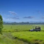 3 Nights 4 Days Chitwan National Park with Tower Night Stay - Who Will Enjoy This Tour?