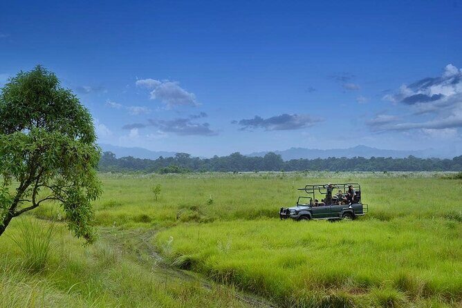 3 Nights 4 Days Chitwan National Park with Tower Night Stay - Who Will Enjoy This Tour?
