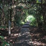 4-Day Jungle Experience in Taman Negara from Kuala Lumpur - Practical Tips for Future Travelers