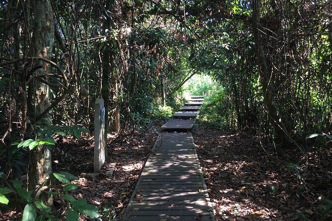 4-Day Jungle Experience in Taman Negara from Kuala Lumpur - Practical Tips for Future Travelers