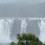 4 Day Kerala Tour Athirappilly Munnar Alleppey - What’s Included and Why It Matters