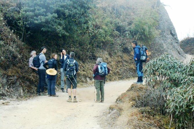 4-Day Sandakphu Private Trek with Accommodation - Authentic Experiences and Reviews