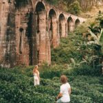 4 Days 3 Nights explore sri Lanka with holiday walkers sri Lanka - Who This Tour Suits Best