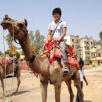 4 Days Golden Triangle Tour India From Delhi - The Practicalities and Value