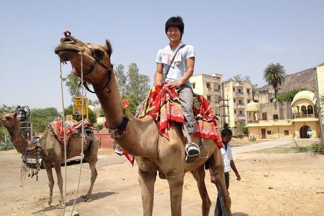 4 Days Golden Triangle Tour India From Delhi - The Practicalities and Value