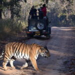 4 Days Golden Triangle Tour with Ranthambore Tiger Safari - What Past Travelers Say