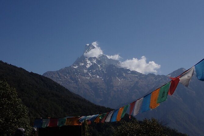 4 Days Mardi Himal Base Camp Trek from Pokhara - Who Would Love This Trek?