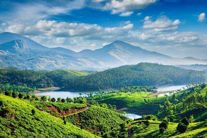4 Days Private Kerala Tour -Kochi, Munnar, Thekkady with 3* Hotel - Value and Practicality