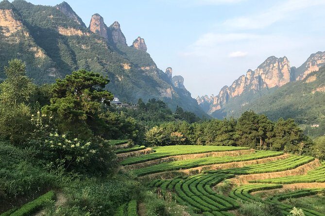 4 Days Zhangjiajie Classic Tour & Activities (5-star Hotel) - The Sum Up