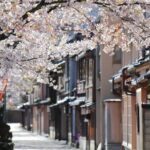 4 Hour Unique Kanazawa Cherry Blossom Sakura Private Experience - Practical Details and What to Expect
