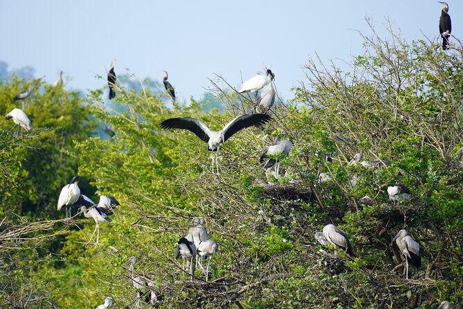 4 Hours Private Yala Safari Day Tour - Why Choose This Tour?