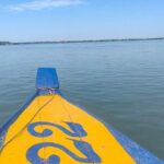 4 hours taking tuk tuk to see Mekong dolphins and countryside - Who Should Consider This Tour?