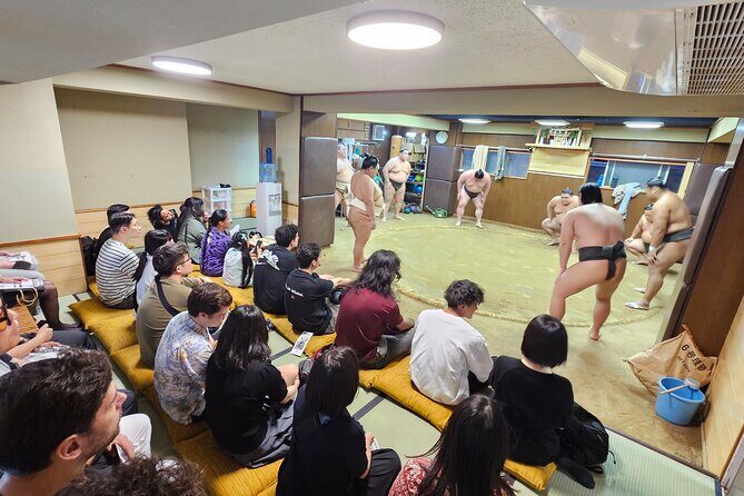 45 Min Sumo Keiko Express a Top Alternative to Tournament - Who Should Consider This Tour?