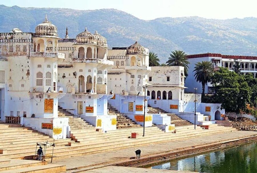 5-Day Golden Triangle Adventure with Pushkar from Delhi - The Experience & Value