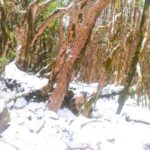 5 Day Mardi Himal Base Camp Trek in Pokhara - What Travelers Say