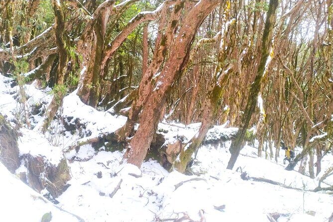 5 Day Mardi Himal Base Camp Trek in Pokhara - What Travelers Say