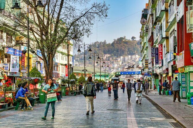 5-Day Private Tour of Gangtok and Darjeeling - What Reviewers Say: Authentic Experiences