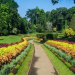 5 Days and 4 Nights Private Tour in Kandy Bentota and Colombo - Final Thoughts