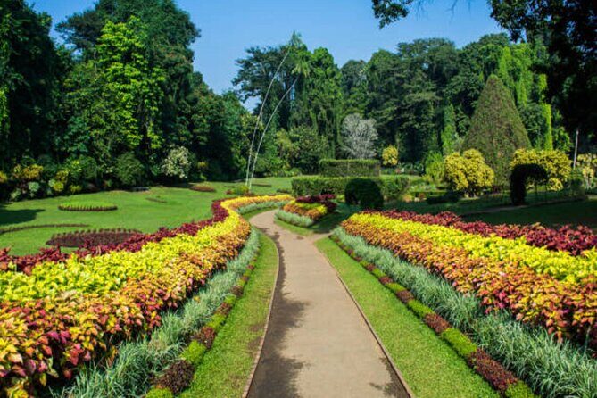 5 Days and 4 Nights Private Tour in Kandy Bentota and Colombo - Final Thoughts