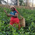 5 Days Kerala Luxury Tour Hills Beaches Houseboat and Heritage - Final Thoughts