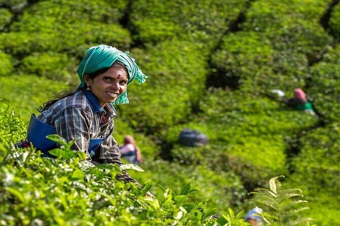 5 Days Kerala Tour with Private Car Houseboat Munnar and Thekkady - FAQs