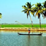 5 Days Private Kerala Tour Package by Saffron India Tours - Days 2 & 3: Munnar’s Natural and Cultural Gems