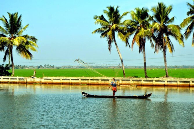 5 Days Private Kerala Tour Package by Saffron India Tours - Days 2 & 3: Munnar’s Natural and Cultural Gems